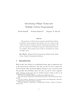 Introducing Oblique Norms into Multiple Criteria Programming 1