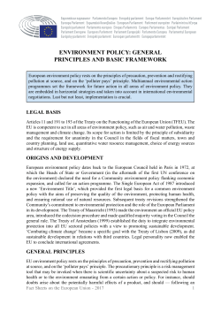 Environment policy: general principles and basic framework