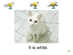 Présenter un animal