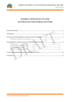 Investment in Energy Efficiency: Business Decision