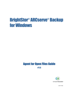 BrightStor ARCserve Backup for Windows Agent for
