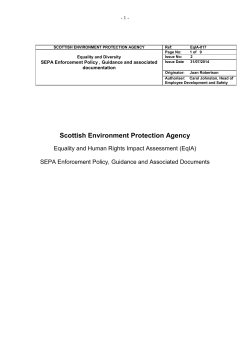 Enforcement Guidance EqIA