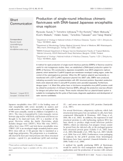 Production of single-round infectious chimeric flaviviruses with DNA