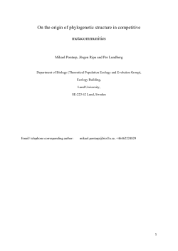 On the origin of phylogenetic structure in competitive metacommunities