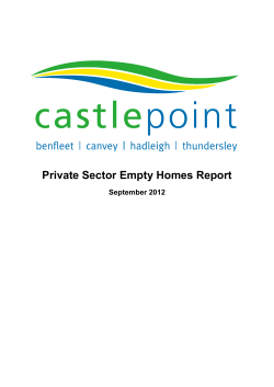 Castle Point Private Sector Empty Homes Report
