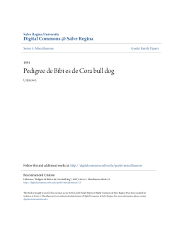 Pedigree de Bibi es de Cora bull dog