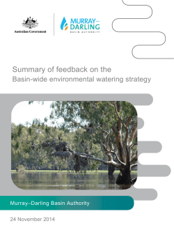 Basin-wide environmental watering strategy - Murray