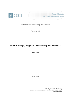 Firm Knowledge, Neighborhood Diversity and Innovation