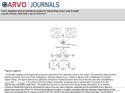 Slide - Journal of Vision