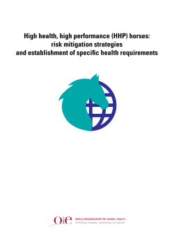 High health, high performance (HHP) horses: risk mitigation