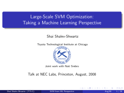 Large-Scale SVM Optimization: Taking a Machine Learning