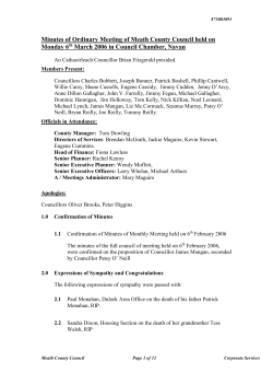 March 2006 Meath County Council Minutes
