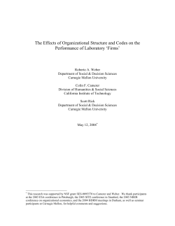 Organizational Power Structure and Group Solidarity: An