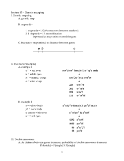 Linkage Mapping/Recombination
