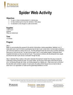 Spider Web Activity