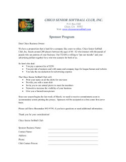 2017 Sponsor Application (Doc)