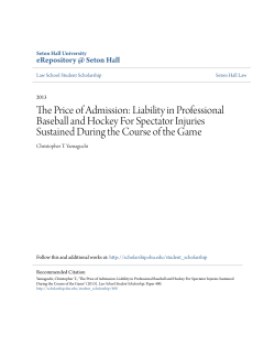 The Price of Admission: Liability in Professional Baseball and