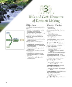 Risk and Cost: Elements of Decision Making