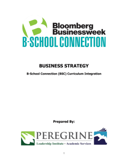 business strategy - Peregrine Academic Services