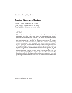 Capital Structure Choices