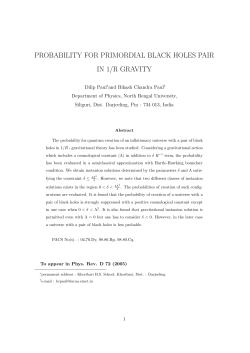 PROBABILITY FOR PRIMORDIAL BLACK HOLES PAIR IN 1/R