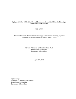 Ajay Ajmera-Senior Thesis - The ScholarShip at ECU