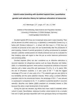 Hybrid maize breeding with doubled haploid lines