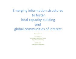 Emerging information structures to foster local capacity building and