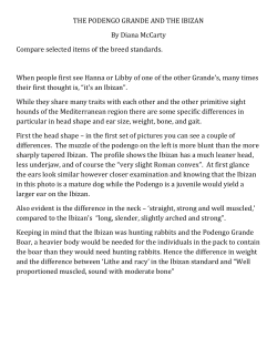 THE_PODENGO_AND_THE_IBIZAN