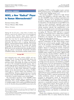 NOX5, a New &ldquo;Radical&rdquo; Player in Human Atherosclerosis?