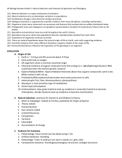 5th of 7 Review Packets