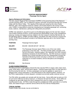 Passenger Service Agent