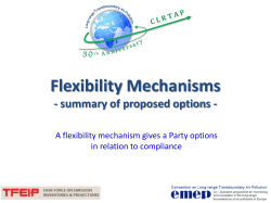 Flexibility Mechanisms Considered Short Explanation of