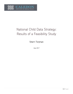 National Child Data Strategy: Results of a Feasibility Study