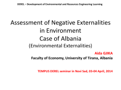 Assessing Negative Externality in Environmental