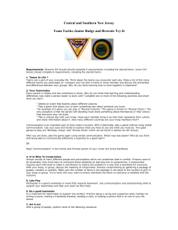 Team Tactics - Girl Scout Council`s Own Badges