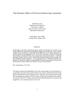 The Dynamic Effects of Firm-level Borrowing Constraints