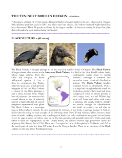 The 10 Next Birds of Oregon - Oregon Birding Association