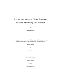 Optimal Intertemporal Pricing Strategies for Firms