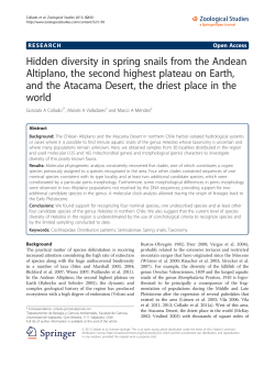 Hidden diversity in spring snails from the Andean Altiplano, the