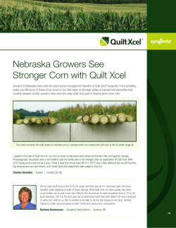 Nebraska Growers See Stronger Corn with Quilt Xcel