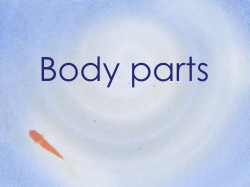 Body parts - Japanese Teaching Ideas