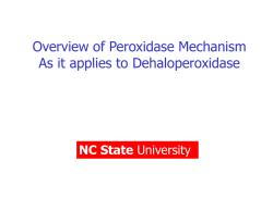 Overview of Peroxidase Mechanism As it