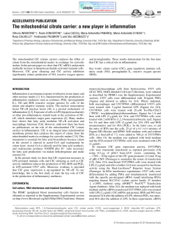 The mitochondrial citrate carrier: a new player in inflammation