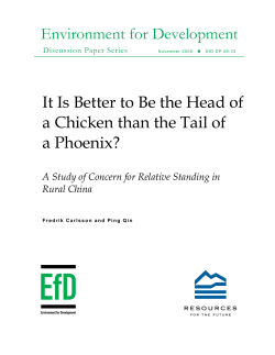 Is it Better to Be the Head of a Chicken than the Tail of a Phoenix? A