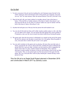 Ga Ga Ball This Ga GA pit is an Eagle Scott Project planned in