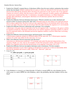 Genetics Review answer Key File