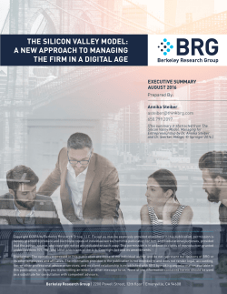 the silicon valley model: a new approach to managing the firm in a