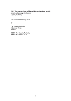 a_national_strategy_for_ireland___doc