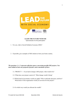 LEADS THE FUTURE WITH SSE Questionnaire for the participants